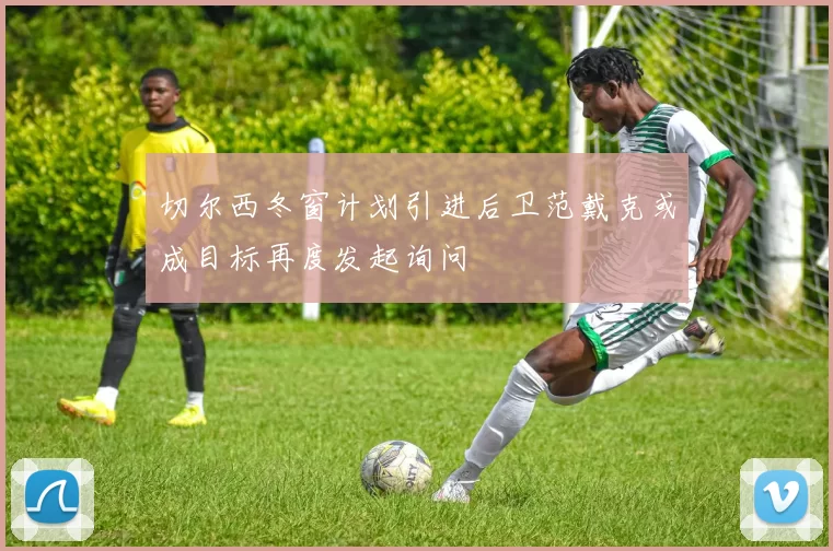 切尔西冬窗计划引进后卫范戴克或成目标再度发起询问